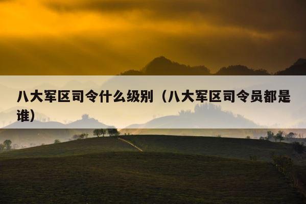 八大军区司令什么级别（八大军区司令员都是谁） 第1张
