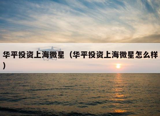 华平投资上海微星（华平投资上海微星怎么样） 第1张