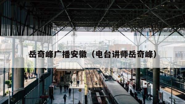 岳奇峰广播安徽（电台讲师岳奇峰） 第1张