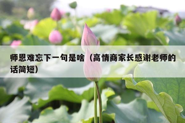 师恩难忘下一句是啥（高情商家长感谢老师的话简短） 第1张