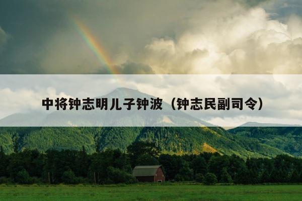 中将钟志明儿子钟波（钟志民副司令） 第1张