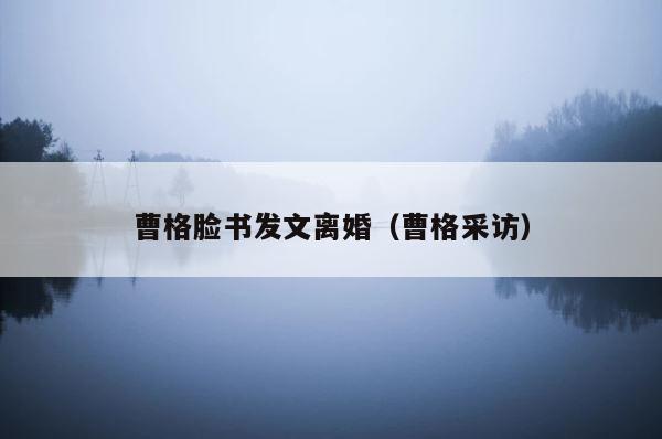 曹格脸书发文离婚（曹格采访） 第1张