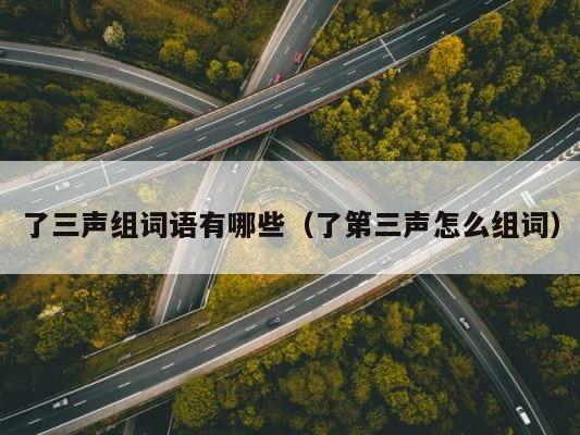 了三声组词语有哪些（了第三声怎么组词） 第1张
