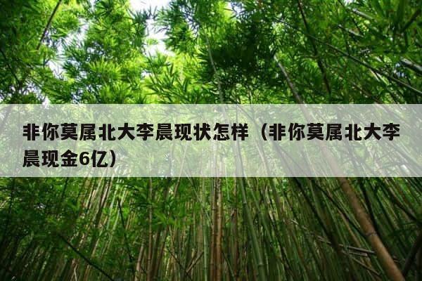 非你莫属北大李晨现状怎样（非你莫属北大李晨现金6亿） 第1张