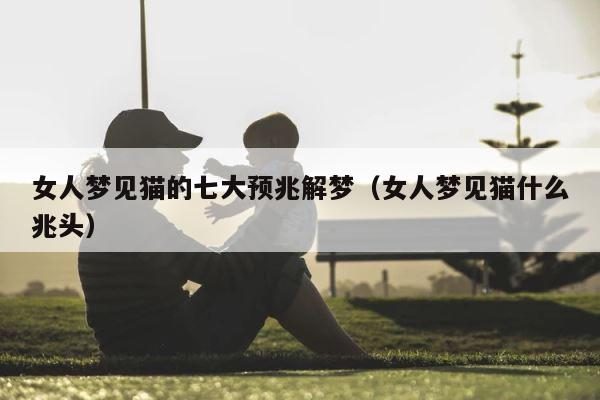 女人梦见猫的七大预兆解梦（女人梦见猫什么兆头） 第1张