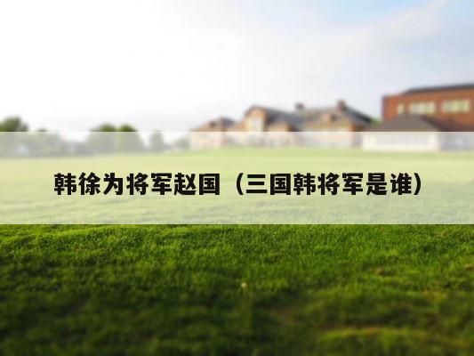 韩徐为将军赵国（三国韩将军是谁） 第1张