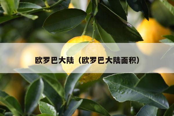 欧罗巴大陆（欧罗巴大陆面积） 第1张