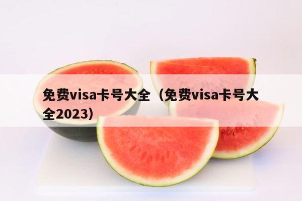 免费visa卡号大全（免费visa卡号大全2023） 第1张