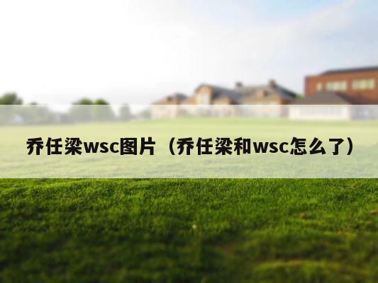 乔任梁wsc图片（乔任梁和wsc怎么了） 第1张