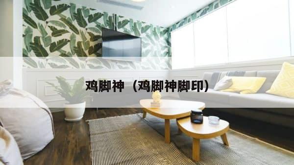 鸡脚神（鸡脚神脚印） 第1张