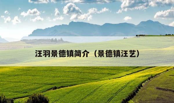 汪羽景德镇简介（景德镇汪艺） 第1张