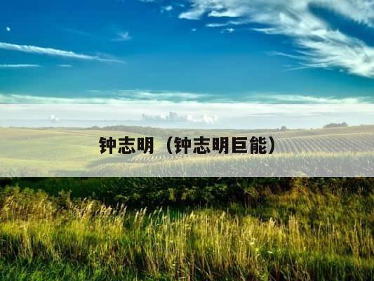 钟志明（钟志明巨能） 第1张