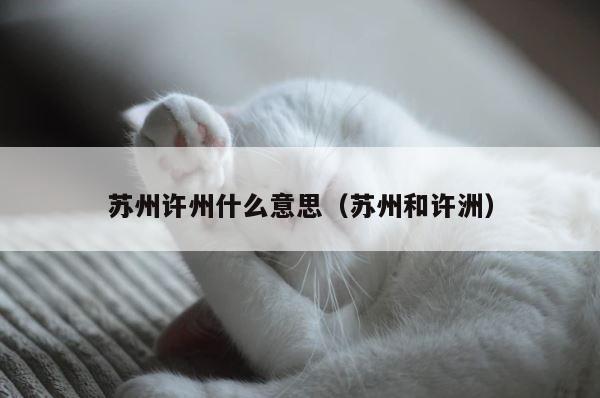 苏州许州什么意思（苏州和许洲） 第1张