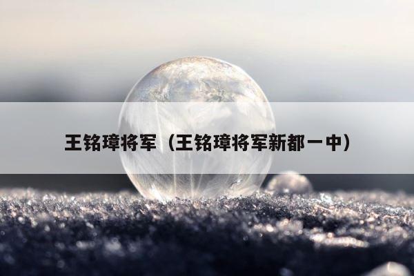 王铭璋将军（王铭璋将军新都一中） 第1张