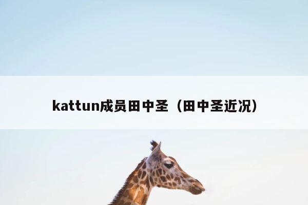 kattun成员田中圣（田中圣近况） 第1张