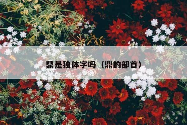 鼎是独体字吗（鼎的部首） 第1张