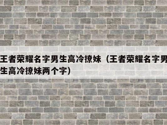 王者荣耀名字男生高冷撩妹（王者荣耀名字男生高冷撩妹两个字） 第1张