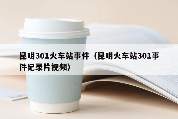 昆明301火车站事件（昆明火车站301事件纪录片视频） 第1张