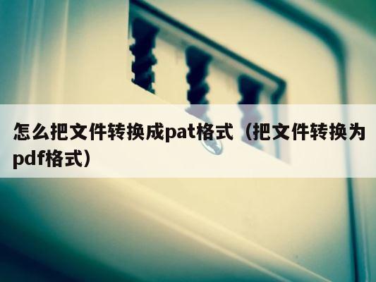 怎么把文件转换成pat格式（把文件转换为pdf格式） 第1张