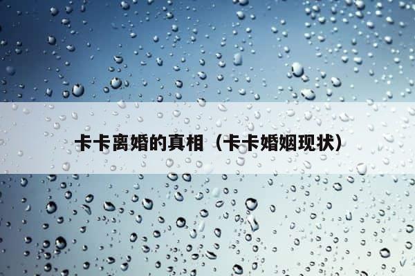 卡卡离婚的真相（卡卡婚姻现状） 第1张