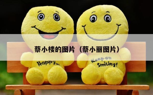 蔡小楼的图片（蔡小丽图片） 第1张
