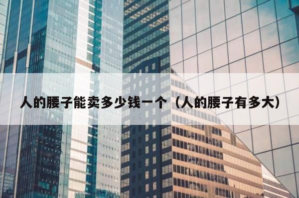 人的腰子能卖多少钱一个（人的腰子有多大） 第1张