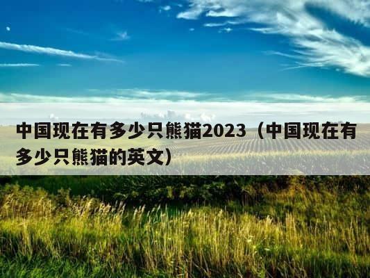 中国现在有多少只熊猫2023（中国现在有多少只熊猫的英文） 第1张