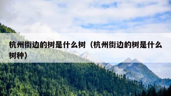 杭州街边的树是什么树（杭州街边的树是什么树种） 第1张