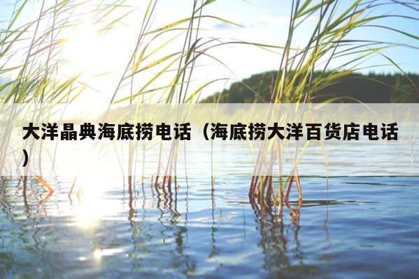 大洋晶典海底捞电话（海底捞大洋百货店电话） 第1张