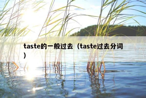 taste的一般过去（taste过去分词） 第1张