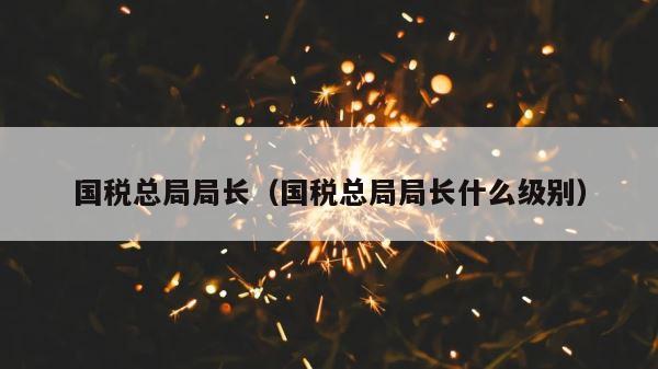 国税总局局长（国税总局局长什么级别） 第1张