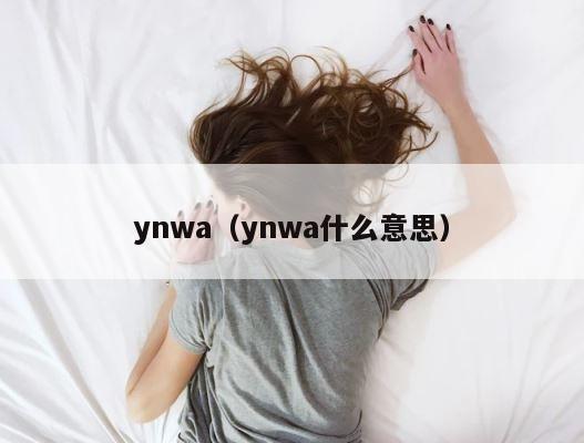ynwa（ynwa什么意思） 第1张