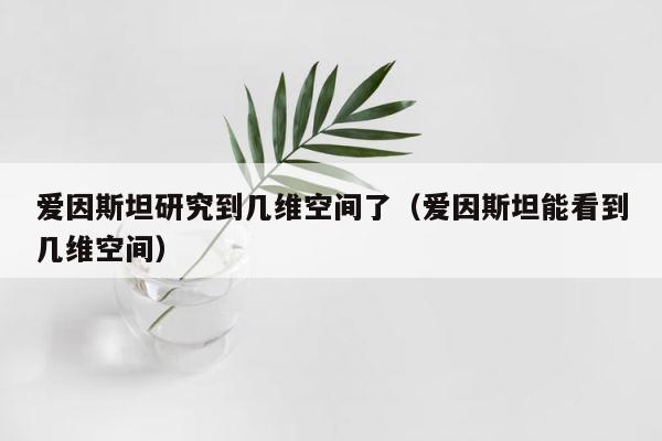 爱因斯坦研究到几维空间了（爱因斯坦能看到几维空间） 第1张