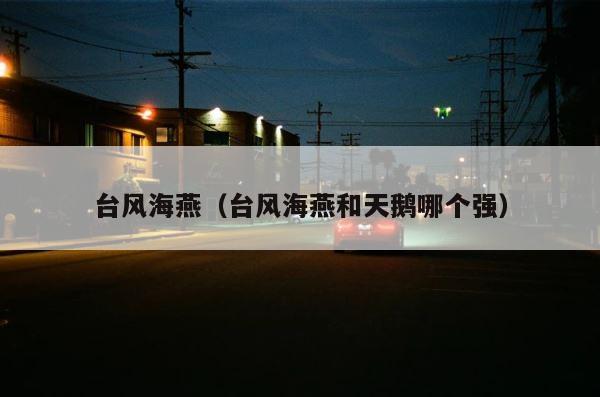 台风海燕（台风海燕和天鹅哪个强） 第1张