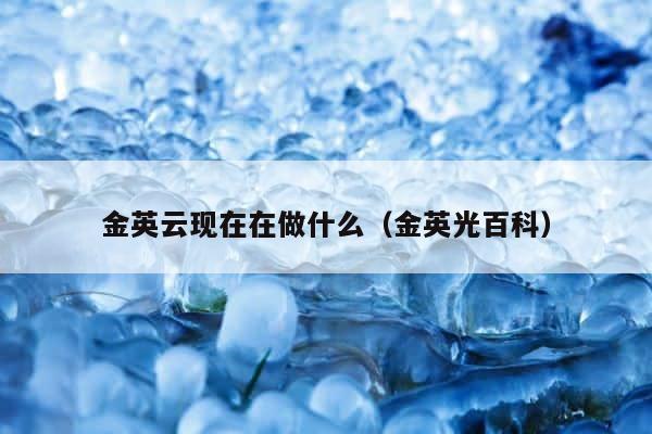 金英云现在在做什么（金英光百科） 第1张