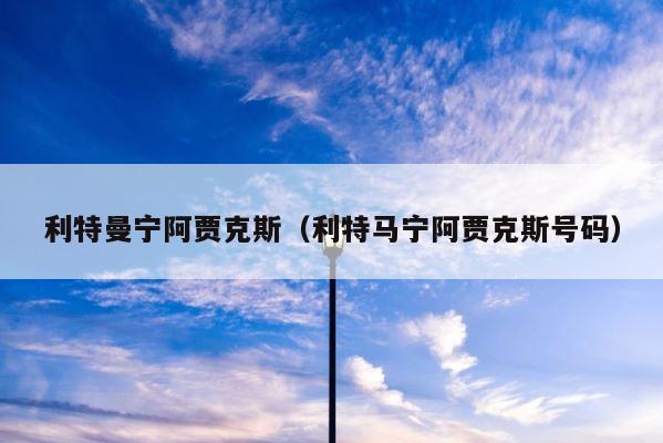 利特曼宁阿贾克斯（利特马宁阿贾克斯号码） 第1张