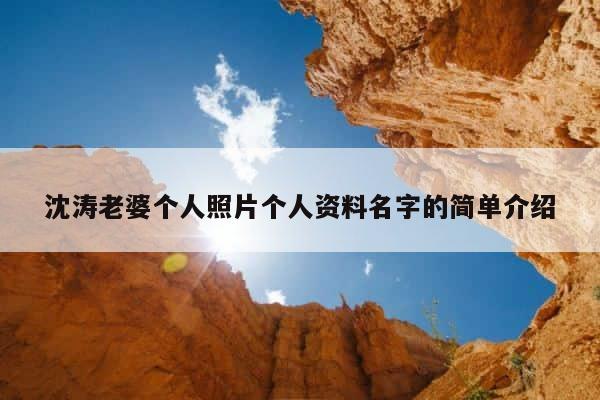 沈涛老婆个人照片个人资料名字的简单介绍 第1张