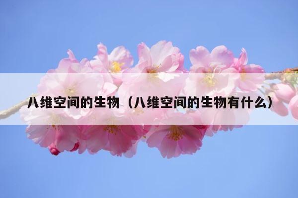 八维空间的生物（八维空间的生物有什么） 第1张