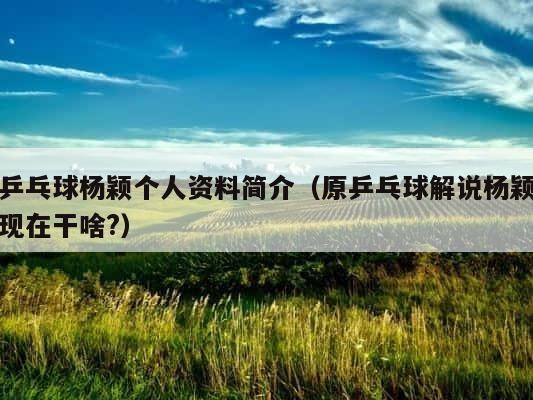 乒乓球杨颖个人资料简介（原乒乓球解说杨颖现在干啥?） 第1张