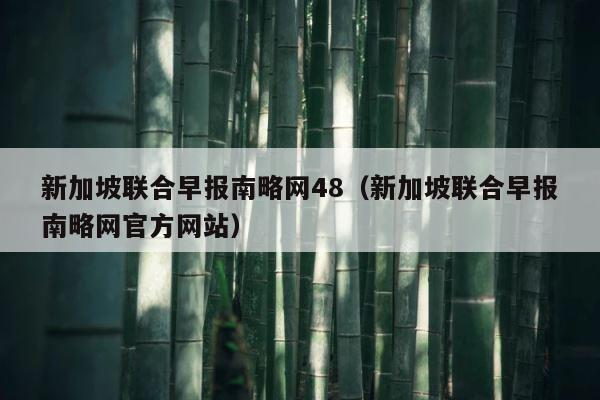新加坡联合早报南略网48（新加坡联合早报南略网官方网站） 第1张