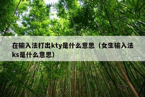 在输入法打出kty是什么意思（女生输入法ks是什么意思） 第1张