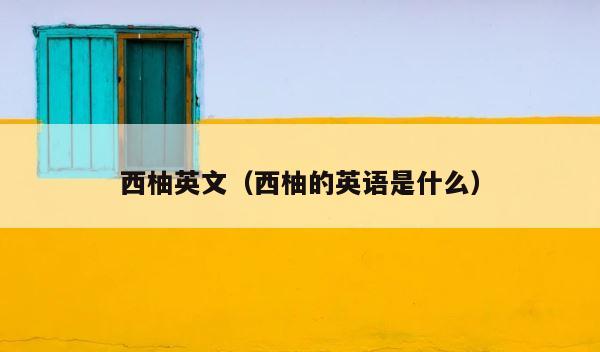 西柚英文（西柚的英语是什么） 第1张