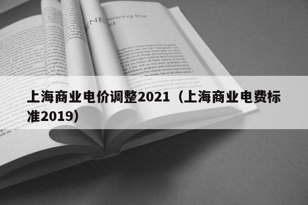 上海商业电价调整2021（上海商业电费标准2019） 第1张