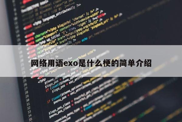 网络用语exo是什么梗的简单介绍 第1张