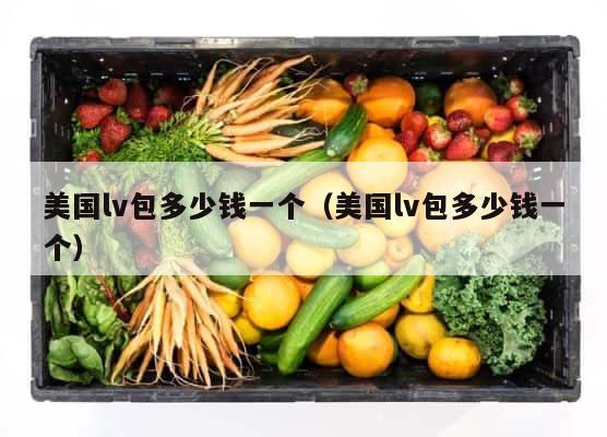 美国lv包多少钱一个（美国lv包多少钱一个） 第1张