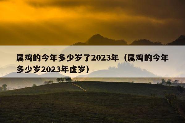 属鸡的今年多少岁了2023年（属鸡的今年多少岁2023年虚岁） 第1张