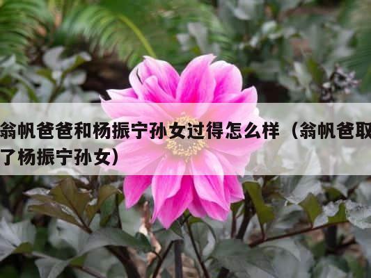 翁帆爸爸和杨振宁孙女过得怎么样（翁帆爸取了杨振宁孙女） 第1张