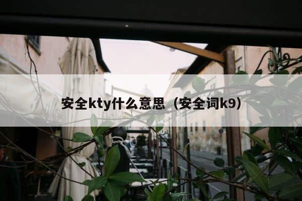 安全kty什么意思（安全词k9） 第1张