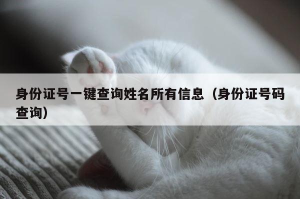 身份证号一键查询姓名所有信息（身份证号码查询） 第1张