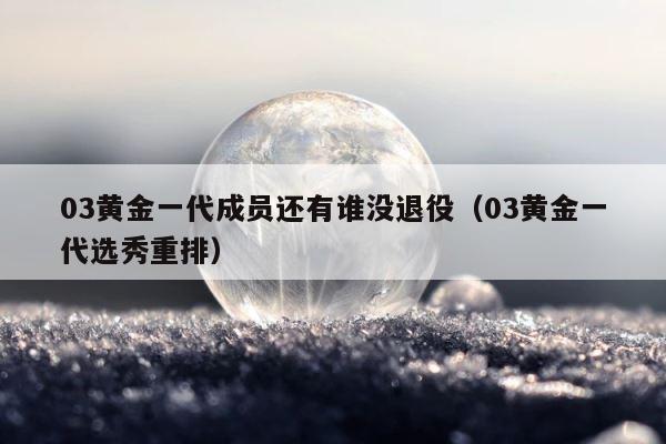03黄金一代成员还有谁没退役（03黄金一代选秀重排） 第1张
